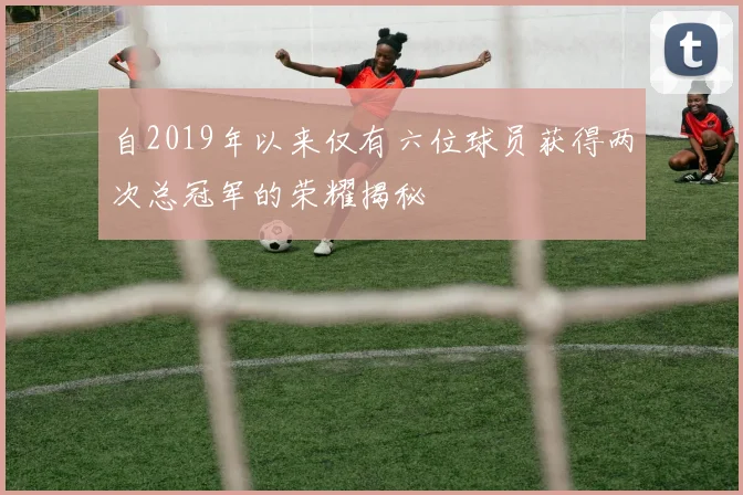 自2019年以来仅有六位球员获得两次总冠军的荣耀揭秘