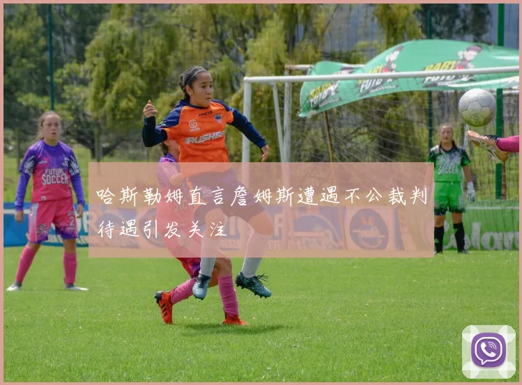 哈斯勒姆直言詹姆斯遭遇不公裁判待遇引发关注
