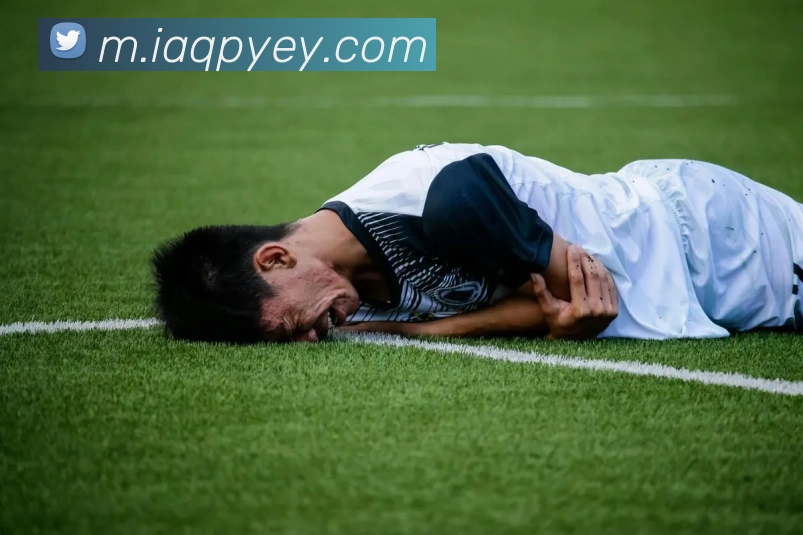 乐虎网站全站App